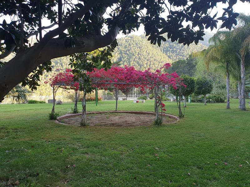 Villa Montgrau Llano de Gorra Buitenkant foto